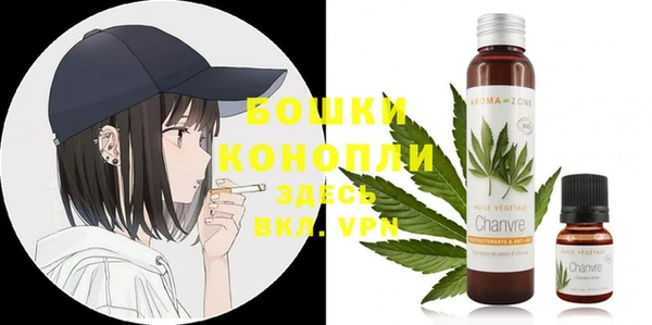винт Елабуга