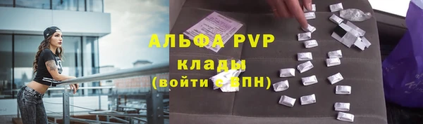 твердый Ельня