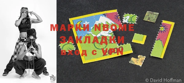 амф Елизово