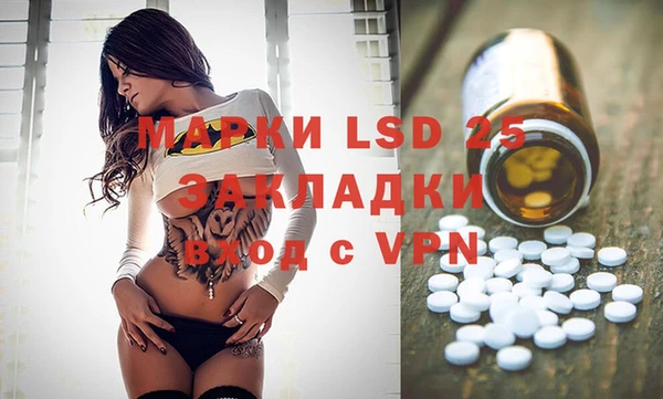 твердый Ельня