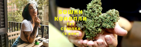 амф Елизово