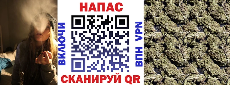 Канабис ГИДРОПОН  Купить где  Ростов 